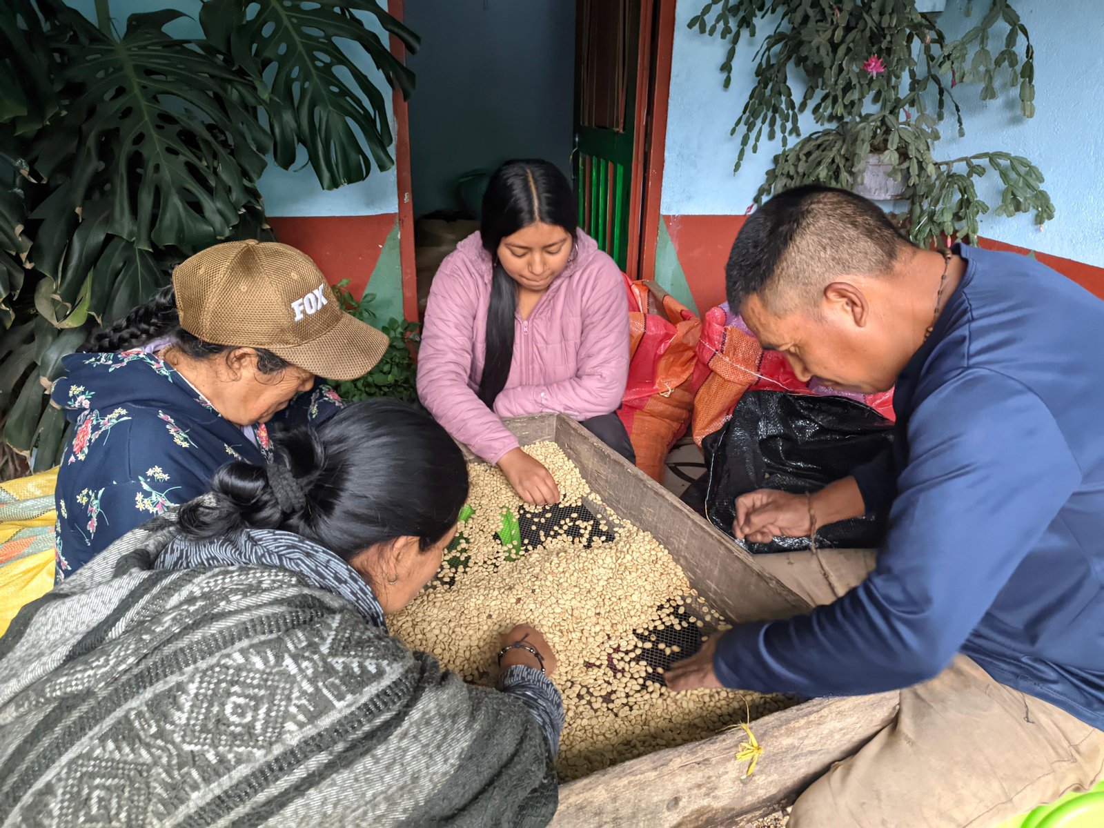 Empowerment durch Kaffeeproduktion